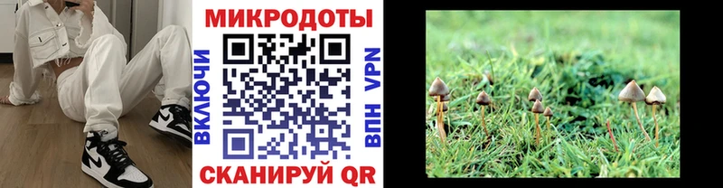 Галлюциногенные грибы GOLDEN TEACHER Кимры