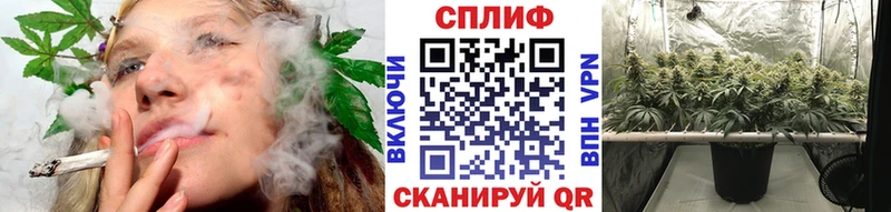 Бошки марихуана MAZAR Кимры